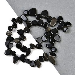 Natürliche goldene Glanz Obsidian Nuggets Perlen Stränge&nbsp;G-B125-A01-01