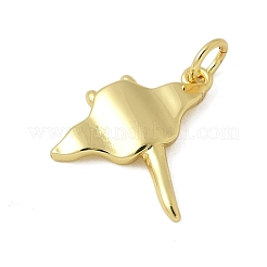 Messing Anhänger & Charms&nbsp;KK-I276-62G