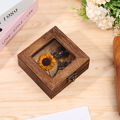Quadratische Insektenvitrine aus Holz mit weißer Eva-Schaummatte im Inneren&nbsp;CON-WH0086-103A