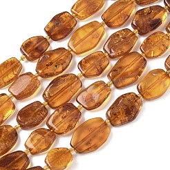 Perles d'ambre naturel brins&nbsp;G-L095-C01-04