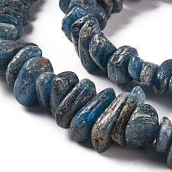 Perline Kyanite naturali fili&nbsp;G-F719-09