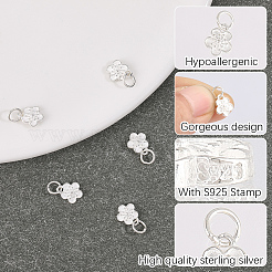 5 pièce 925 breloques en argent sterling&nbsp;STER-BBC0009-44B