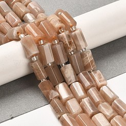 Natürliche sunstone Perlen Stränge&nbsp;G-N327-06-12