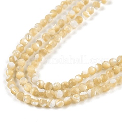 Natürliche Trochusmuschelperlenstränge&nbsp;BSHE-G036-08B-02