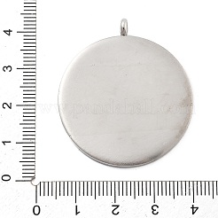 Pendentifs en acier inoxydable 304&nbsp;STAS-F313-12P