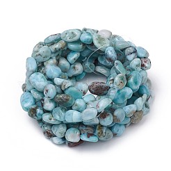 Natürliche Larimar Stretch Perlen Armbänder&nbsp;X-BJEW-K213-C21