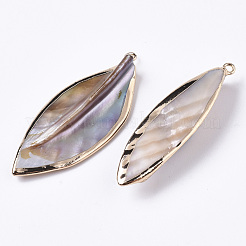 Coquille d'eau douce naturelle gros pendentifs&nbsp;X-SHEL-R048-09