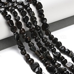 Natürliche kyanit / cyanit / disthen perlen stränge&nbsp;G-P497-01C-34