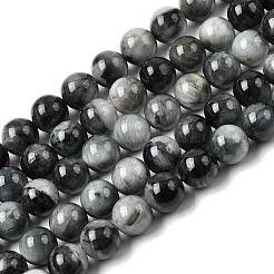 Chapelets de perles en pierre naturelle d'œil d'aigle&nbsp;G-G344-A05-8mm