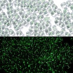Leuchtende Glasperlen&nbsp;X1-SEED-A033-07E