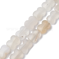 Chapelets de perles en agate blanche naturelle&nbsp;G-K359-D02-01