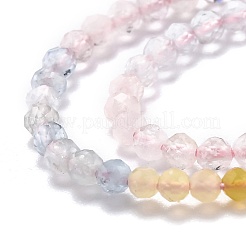 Fili di perline morganite naturale&nbsp;G-H266-18