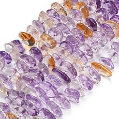 Naturperlen Stränge ametrine&nbsp;G-Z124-A02-01
