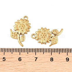 Pendentifs en acier inoxydable 304&nbsp;STAS-K322-01G