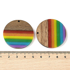 Colgantes de resina y madera de nogal con tema de arcoíris del orgullo&nbsp;WOOD-K012-07B