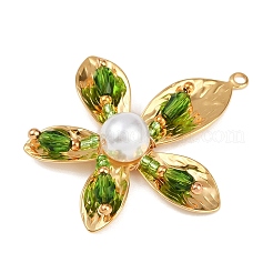 Pendentifs en acier inoxydable 304&nbsp;STAS-R170-05G-05