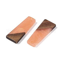 Colgantes de resina & madera&nbsp;WOOD-F015-04F