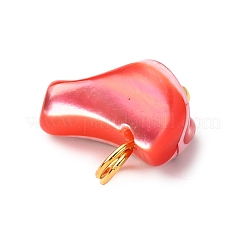 Colgantes de concha de troquídea/concha de troco teñida natural&nbsp;PALLOY-JF04483-02