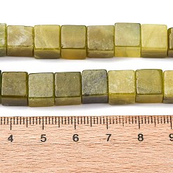 Natur Xiuyan Jade Perlen Stränge&nbsp;G-B155-C04-8x8mm