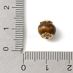 Perles d'œil de tigre naturel&nbsp;KK-D262-01G-01