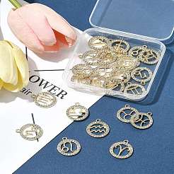 24 Stück 12 Stile Zinklegierung Kristall Strass Anhänger&nbsp;FIND-FS0004-40