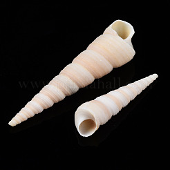 Spirale Shell naturale perline&nbsp;SSHEL-S266-030