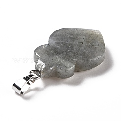 Natur Labradorit Anhänger&nbsp;G-F714-01C