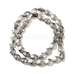 Trasparenti perle di vetro placca fili&nbsp;EGLA-F159-PL03