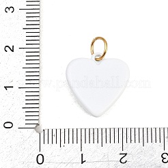 Anhänger aus sprühlackiertem Edelstahl 304&nbsp;STAS-D262-02B
