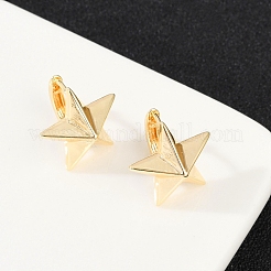 Orecchini a cerchio in ottone&nbsp;EJEW-Q016-10G