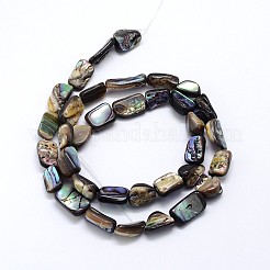 Natur Paua Muschel Perlen Stränge&nbsp;SSHEL-J047-03