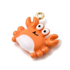 Pendentifs d'émail en alliage&nbsp;FIND-Z119-08G