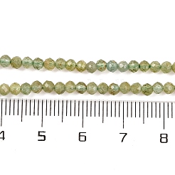 Natürliche grüne Apatit Perlen Stränge&nbsp;G-F770-C03-02
