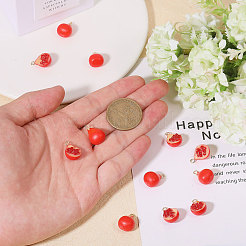 12pcs 2 styles de pendentifs en résine opaque&nbsp;RESI-CA0001-76