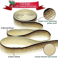 Ruban de nylon scintillant&nbsp;SRIB-WH0011-043
