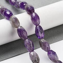 Natürlichen Amethyst Perlen Stränge&nbsp;G-P520-C02-01