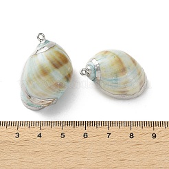 Conch Shell Anhänger&nbsp;SSHEL-B002-06A