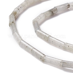 Perline labradorite naturale fili&nbsp;G-A201-B09