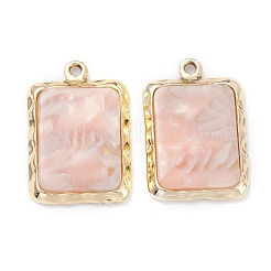 Colgantes de la resina&nbsp;LS-FIND-XCP0001-04