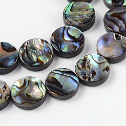 Brins de perles en coquille d'ormeau naturel / coquille de paua&nbsp;SSHEL-G003-5-10x3mm