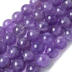 Natürlichen Amethyst Perlen Stränge&nbsp;G-R446-10mm-21-A