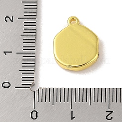 Colgantes de acero inoxidable 304&nbsp;STAS-A097-14G