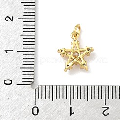 Pendentifs avec zircon cubiques à micro-pavés en laiton&nbsp;KK-H528-02G
