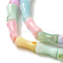 Regenbogenfarben gefärbte Stränge natürlicher Süßwassermuschelperlen&nbsp;SHEL-G018-02C