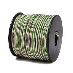 Fils tressés en acier inoxydable 304 recouverts de nylon de 40 m&nbsp;TWIR-P002-01B-04