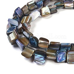 Tinti d'acqua dolce naturale perline shell fili&nbsp;SHEL-P016-01B
