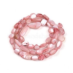 Shell normal de perles blanches de brins&nbsp;SHEL-N036-21G
