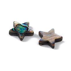 Natürliche Abalone-Muschel / Paua-Muschelperlen&nbsp;SSHEL-M021-07
