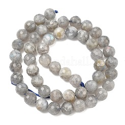 Chapelets de perles en labradorite naturelle &nbsp;G-L642-F07-8mm