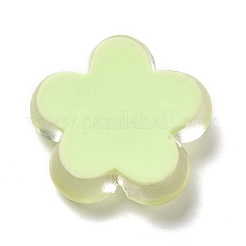 Durchscheinende Harz-Cabochons&nbsp;X-RESI-C034-04